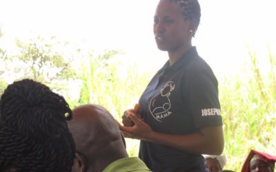 Further study for Josephine